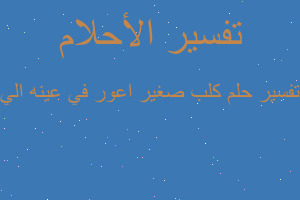 تفسير كلب صغير اعور في عينه الي في المنام تفسير كلب صغير اعور في عينه الي في المنام