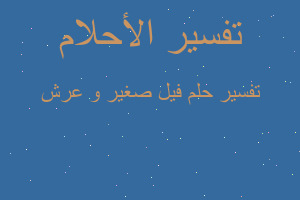 تفسير فيل صغير و عرش في المنام تفسير فيل صغير و عرش في المنام
