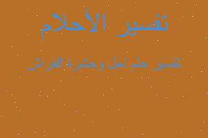 تفسير نمل وحشرة الفراش في المنام