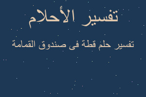 تفسير قطة فى صندوق القمامة في المنام