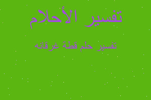 تفسير قطة غرقانه في المنام تفسير قطة غرقانه في المنام