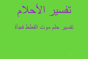 تفسير موت القطط فجأة في المنام تفسير موت القطط فجأة في المنام