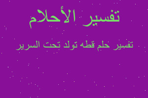 تفسير قطه تولد تحت السرير في المنام تفسير قطه تولد تحت السرير في المنام
