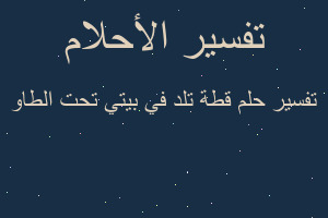 تفسير قطة تلد في بيتي تحت الطاو في المنام