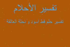 تفسير قط اسود و نحلة العالقة في المنام تفسير قط اسود و نحلة العالقة في المنام