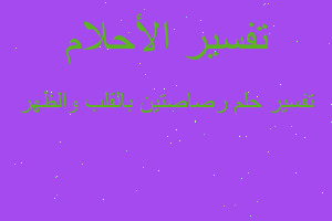 تفسير رصاصتين بالقلب والظهر في المنام تفسير رصاصتين بالقلب والظهر في المنام