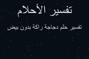 تفسير دجاجة راكة بدون بيض في المنام