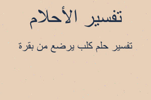 تفسير كلب يرضع من بقرة في المنام