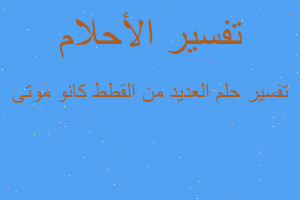 تفسير العديد من القطط كانو موتى في المنام تفسير العديد من القطط كانو موتى في المنام