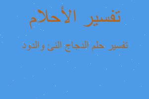 تفسير الدجاج النئ والدود في المنام تفسير الدجاج النئ والدود في المنام