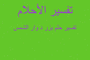 تفسير بزر د وار الشمس في المنام