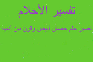 تفسير حصان أبيض وقرن بين أذنيه في المنام تفسير حصان أبيض وقرن بين أذنيه في المنام