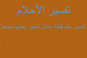 تفسير قطة حامل انفجر بطنها بصغا في المنام تفسير قطة حامل انفجر بطنها بصغا في المنام