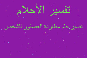 تفسير مطاردة العصفور للشخص في المنام