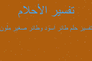 تفسير طائر اسود وطائر صغير ملون في المنام