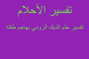 تفسير الديك الرومي يهاجم طفله في المنام تفسير الديك الرومي يهاجم طفله في المنام