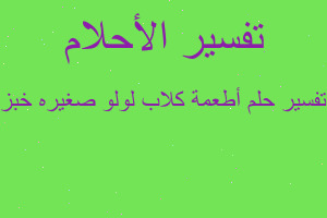 تفسير أطعمة كلاب لولو صغيره خبز في المنام تفسير أطعمة كلاب لولو صغيره خبز في المنام