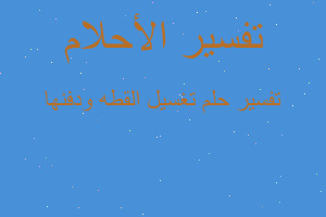 تفسير تغسيل القطه ودفنها في المنام تفسير تغسيل القطه ودفنها في المنام