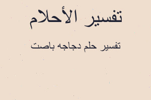 تفسير دجاجه باصت في المنام