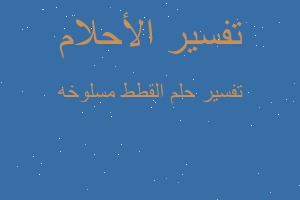 تفسير القطط مسلوخه في المنام تفسير القطط مسلوخه في المنام