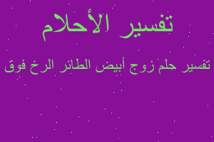 تفسير زوج أبيض الطائر الرخ فوق في المنام