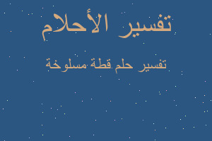 تفسير قطة مسلوخة في المنام تفسير قطة مسلوخة في المنام