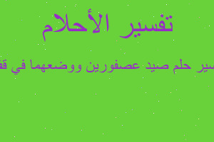 تفسير صيد عصفورين ووضعهما في قف في المنام