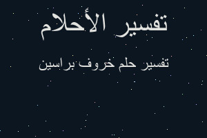 تفسير خروف براسين في المنام تفسير خروف براسين في المنام