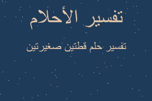 تفسير قطتين صغيرتين في المنام