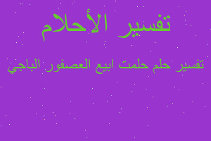 تفسير حلمت ابيع العصفور الباجي في المنام