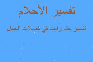 تفسير رايت في فضلات الجمل في المنام