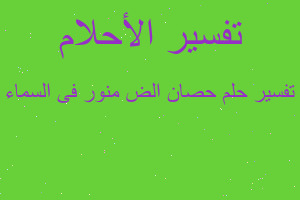 تفسير حصان الض منور فى السماء في المنام تفسير حصان الض منور فى السماء في المنام