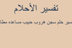 تفسير سجن هروب حبيب مساعده مطار في المنام