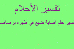 تفسير اصابة ضبع في ظهره برصاصة في المنام