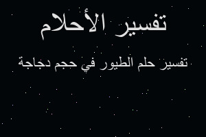 تفسير الطيور في حجم دجاجة في المنام