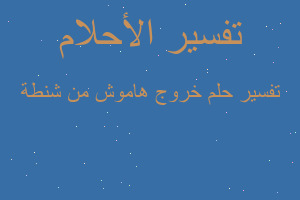 تفسير خروج هاموش من شنطة في المنام