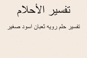 تفسير رويه ثعبان اسود صغير في المنام