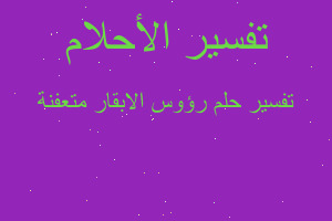 تفسير رؤوس الابقار متعفنة في المنام تفسير رؤوس الابقار متعفنة في المنام