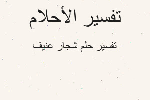 تفسير شجار عنيف في المنام