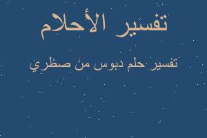 تفسير دبوس من صظري في المنام تفسير دبوس من صظري في المنام