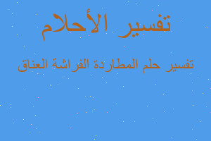 تفسير المطاردة الفراشة العناق في المنام