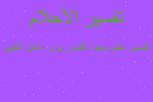 تفسير وجود قشور بزر داخل العين في المنام تفسير وجود قشور بزر داخل العين في المنام