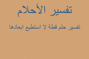 تفسير قطة لا استطيع ابعادها في المنام تفسير قطة لا استطيع ابعادها في المنام