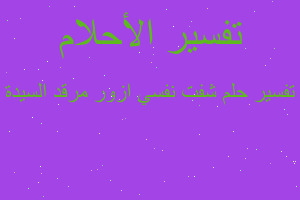 تفسير شفت نفسي ازور مرقد السيدة في المنام