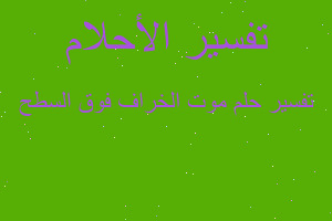 تفسير موت الخراف فوق السطح في المنام تفسير موت الخراف فوق السطح في المنام