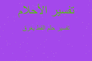 تفسير القط يغرق في المنام