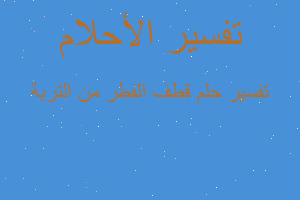 تفسير قطف الفطر من التربة في المنام