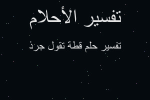 تفسير قطة تقول جرذ في المنام