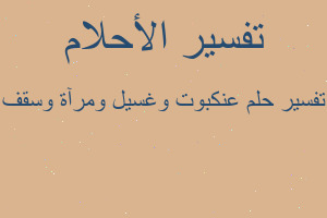 تفسير عنكبوت وغسيل ومرآة وسقف في المنام تفسير عنكبوت وغسيل ومرآة وسقف في المنام