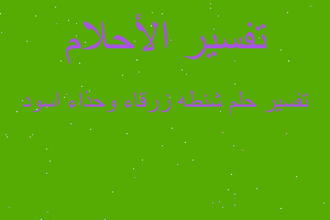 تفسير شنطه زرقاء وحذاء اسود في المنام